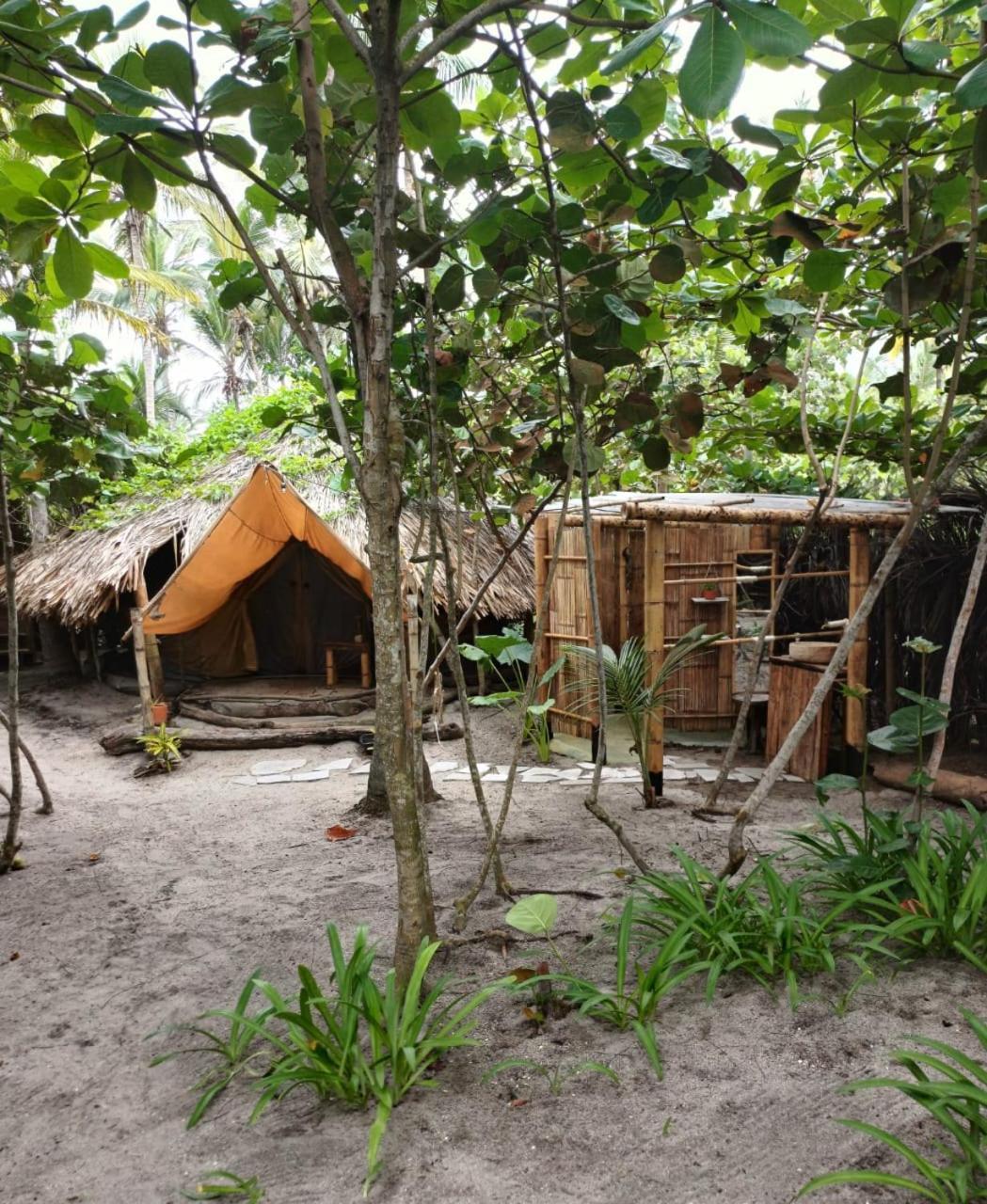 Lote 10 Glamping Hotel Guachaca Buitenkant foto